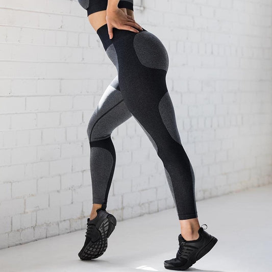 Shark Seamless Leggings Women Fitness High Waist Yoga Pants